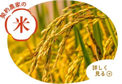 契約農家の米